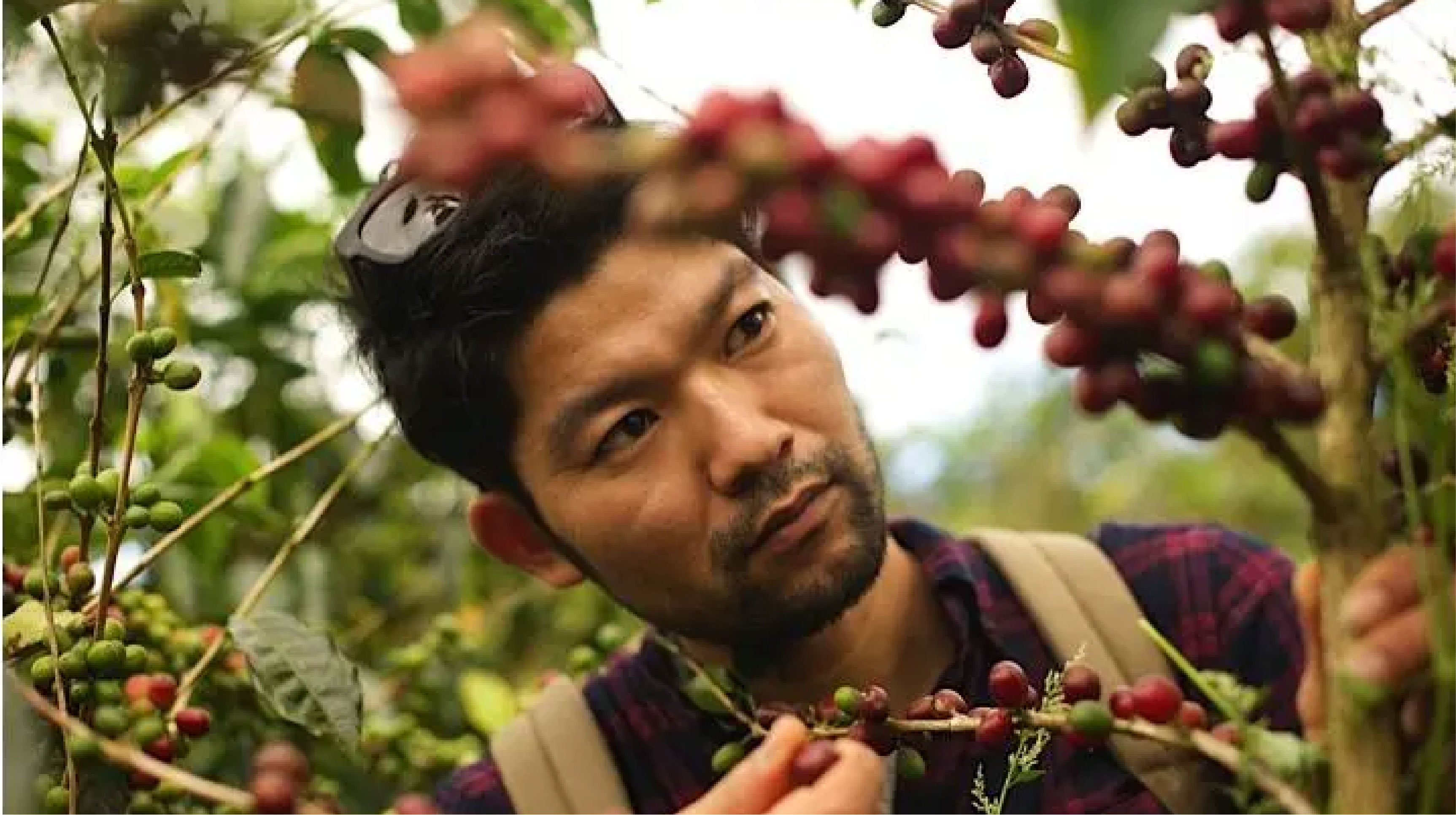 Йошикацу Ивасе