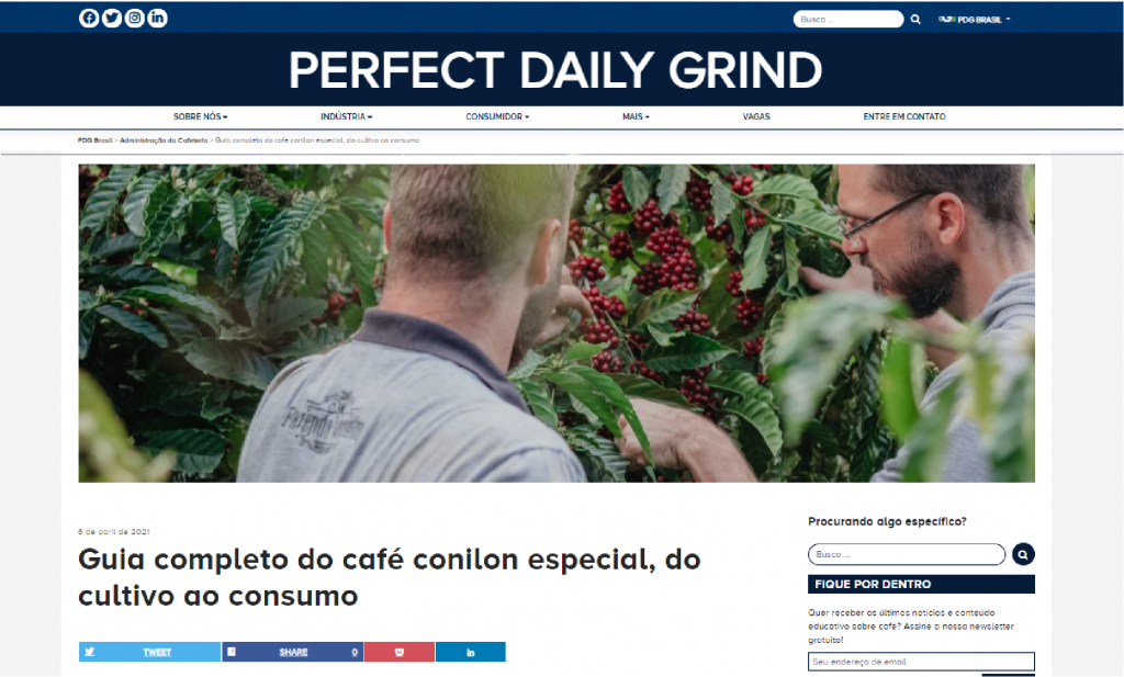 Наше интервью Perfect Daily Grind Brazil