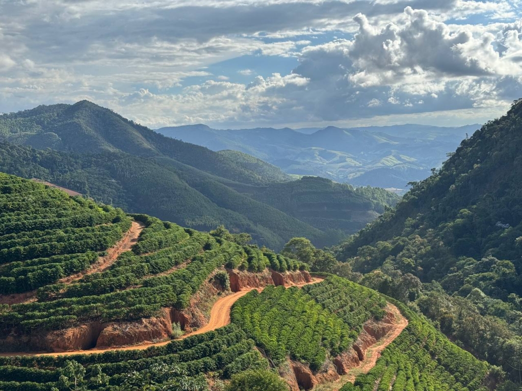 Кто и как создает вкус наших лотов из Эспириту Санту