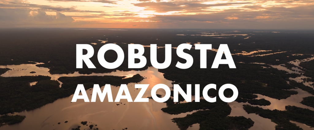 Робусты Амазонии