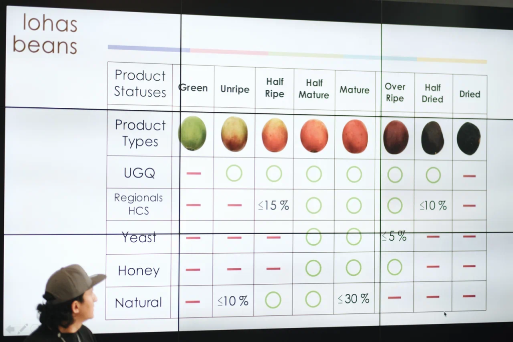 Тенденция побеждать: как El Diviso создает свои лучшие лоты