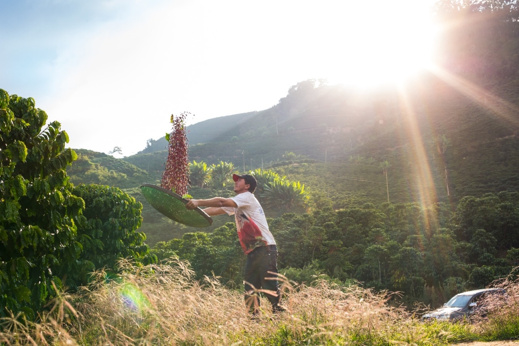 Конилон — новая технологичная волна в кофе