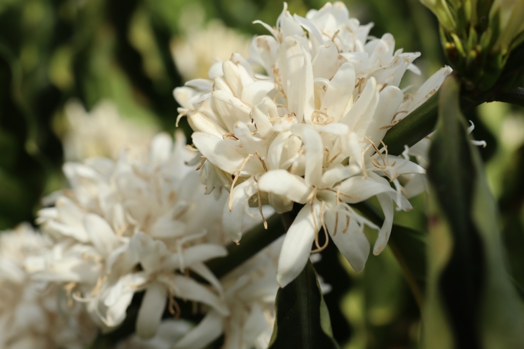 Изображение WhatsApp 2025-09-29 в 11.25.44_3cf7a378.jpg